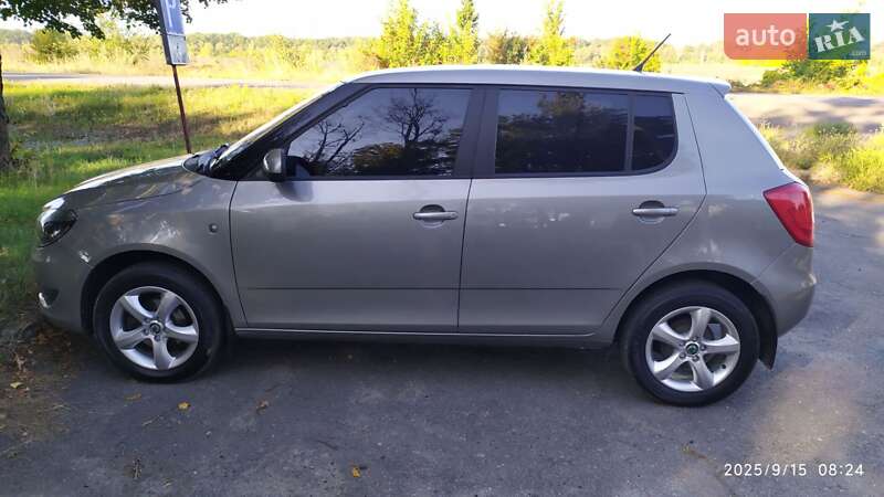 Хэтчбек Skoda Fabia 2013 в Богодухове