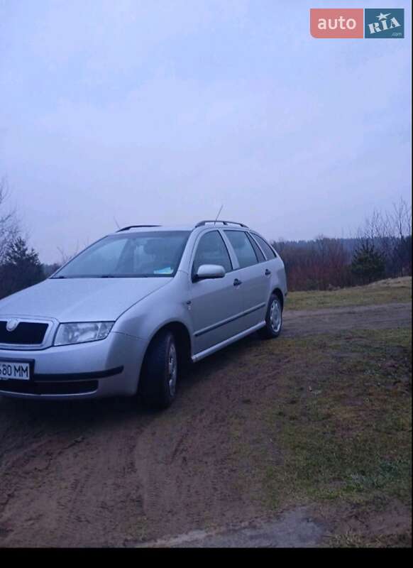 Универсал Skoda Fabia 2002 в 