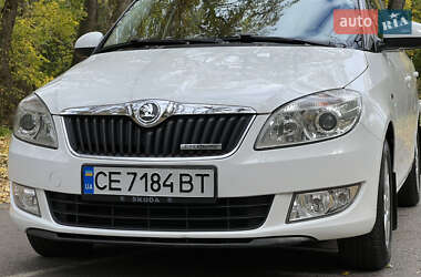 Хэтчбек Skoda Fabia 2013 в 