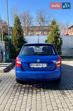 Хетчбек Skoda Fabia 2009 в 