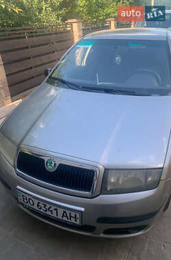 Универсал Skoda Fabia 2007 в Тернополе