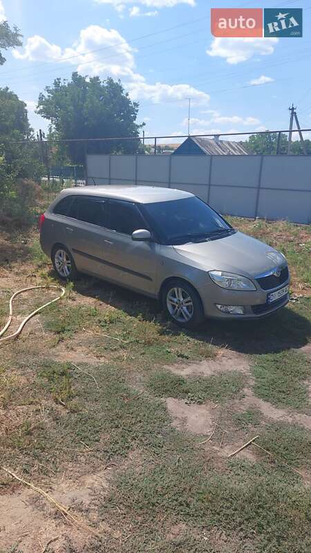 Skoda Fabia 2010 Skoda Fabia 2010