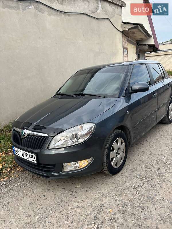 Хетчбек Skoda Fabia 2010 в Тернополі