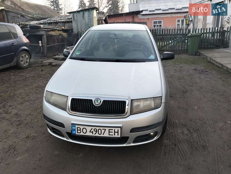 Універсал Skoda Fabia 2005 в Кременці
