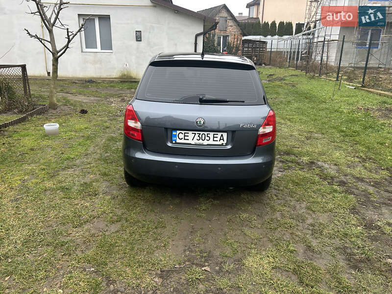 Хэтчбек Skoda Fabia 2009 в Черновцах