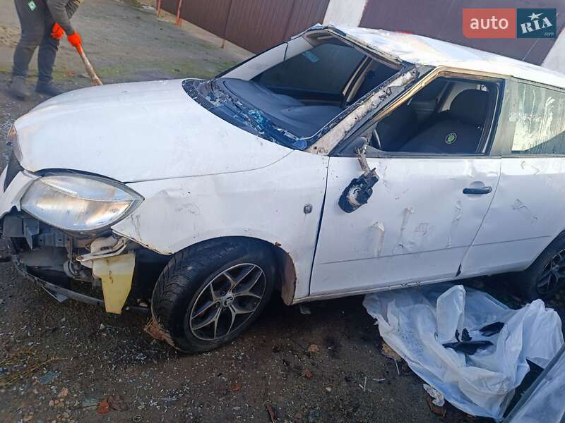 Хэтчбек Skoda Fabia 2010 в Днепре