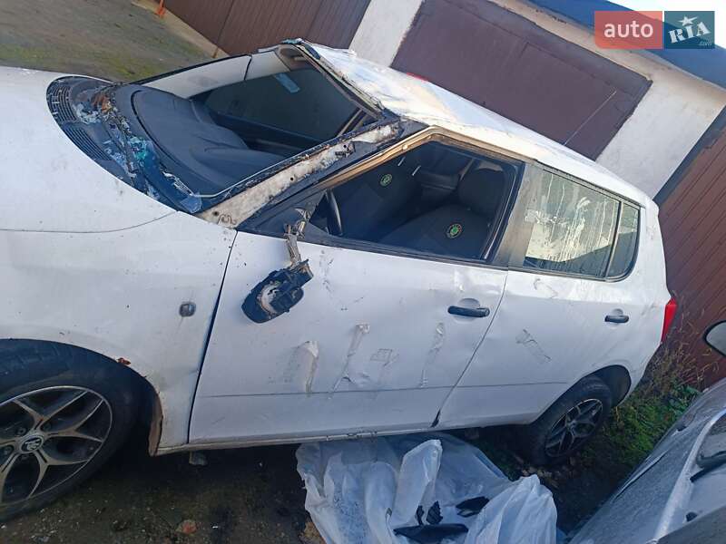Хэтчбек Skoda Fabia 2010 в Днепре