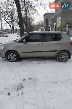 Хэтчбек Skoda Fabia 2007 в Кропивницком