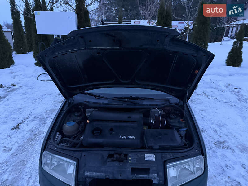 Хетчбек Skoda Fabia 2003 в Переяславі