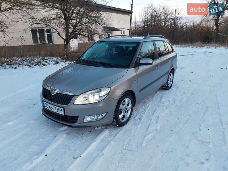 Універсал Skoda Fabia 2010 в Кіцмані