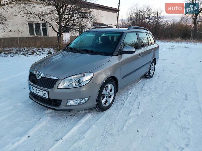 Універсал Skoda Fabia 2010 в Кіцмані