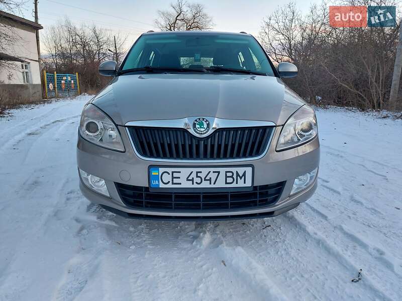 Універсал Skoda Fabia 2010 в Кіцмані