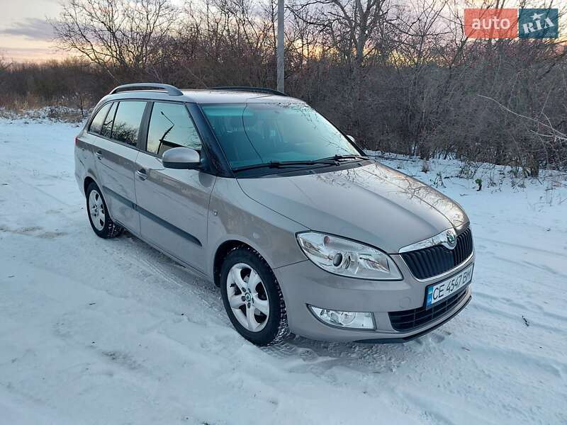 Універсал Skoda Fabia 2010 в Кіцмані