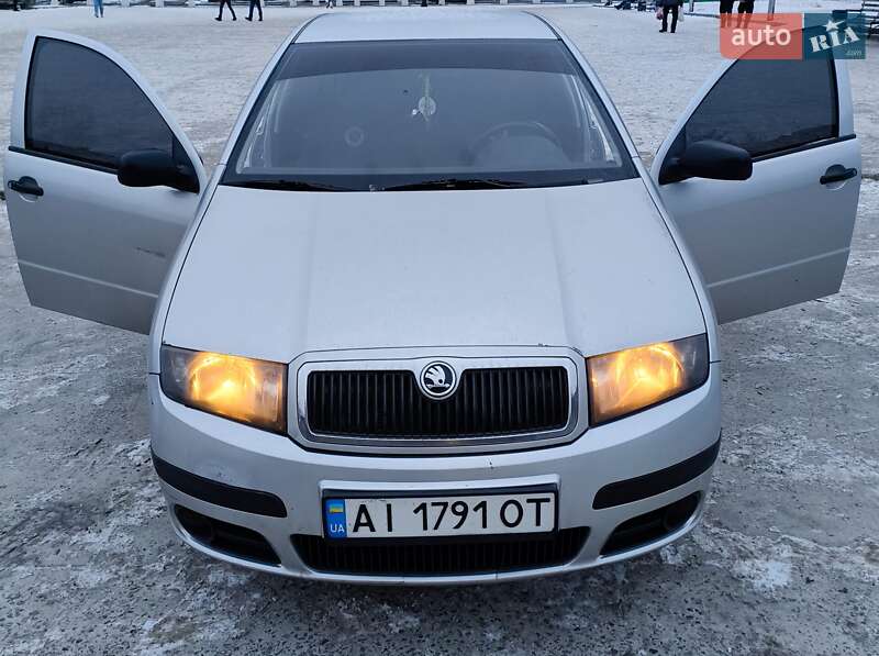 Хэтчбек Skoda Fabia 2006 в Кривом Роге