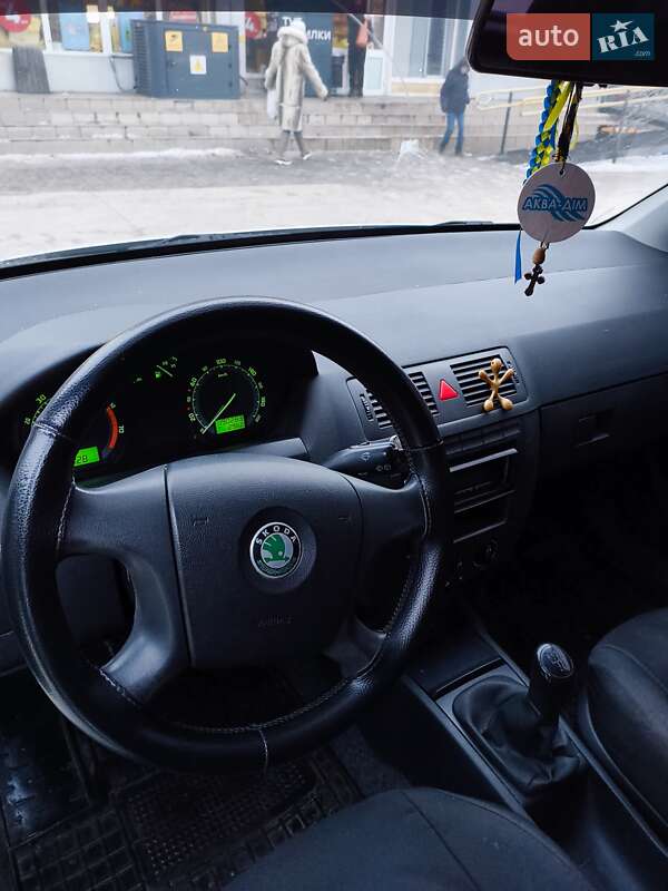 Хэтчбек Skoda Fabia 2006 в Кривом Роге