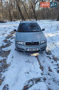 Седан Skoda Fabia 2005 в Новомосковске