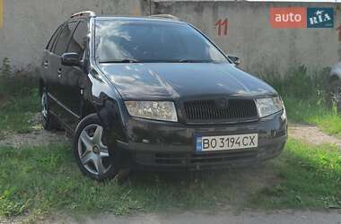 Универсал Skoda Fabia 2003 в Тернополе