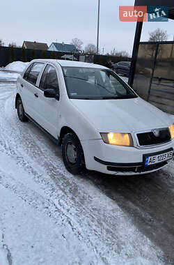 Хэтчбек Skoda Fabia 2002 в Звягеле