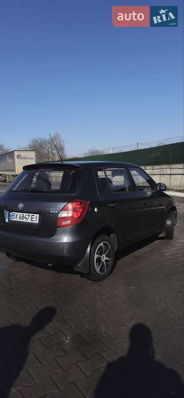 Хэтчбек Skoda Fabia 2010 в Хмельницком