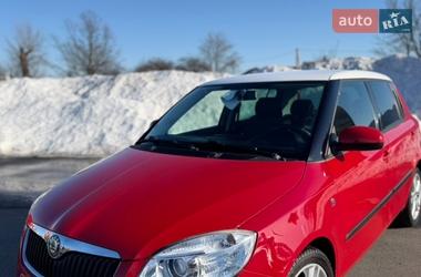 Хэтчбек Skoda Fabia 2010 в Житомире