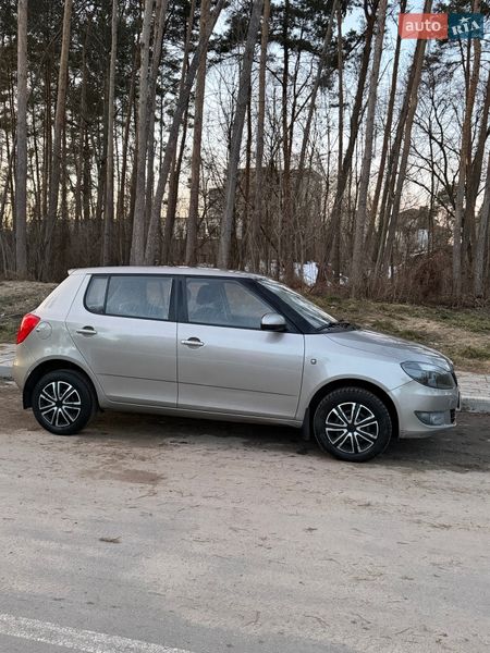 Хэтчбек Skoda Fabia 2013 в Житомире