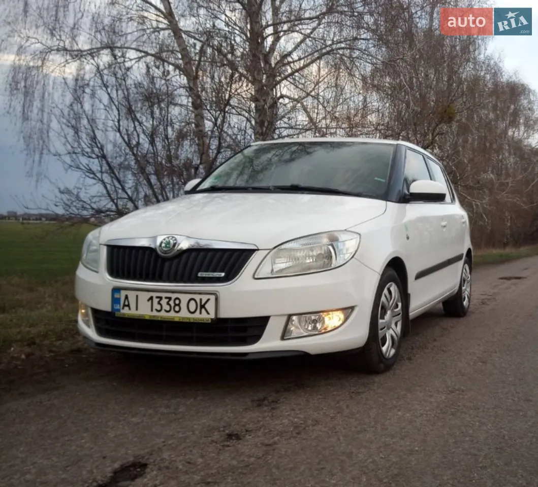 2013 Skoda Fabia - мініатюра 17