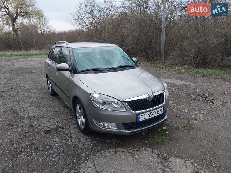 Універсал Skoda Fabia 2010 в Кіцмані