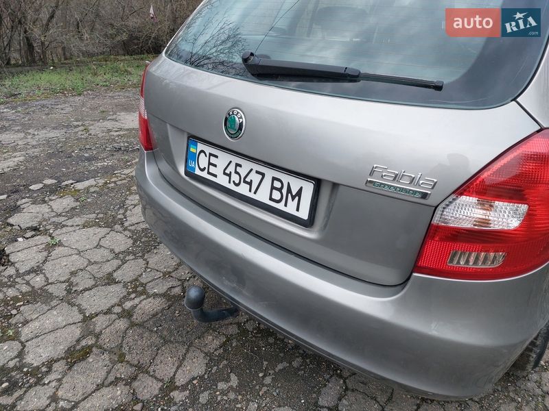 Універсал Skoda Fabia 2010 в Кіцмані