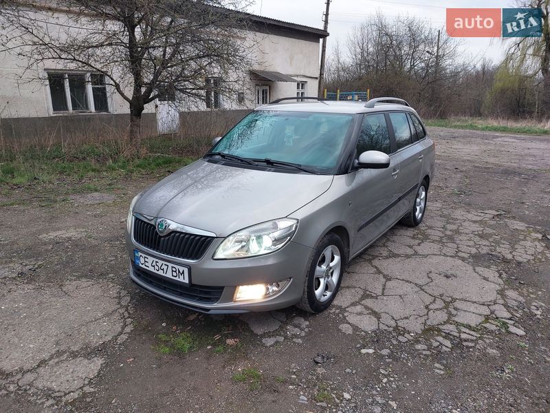 Універсал Skoda Fabia 2010 в Кіцмані