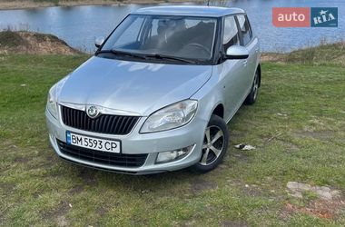 Хэтчбек Skoda Fabia 2010 в Шостке