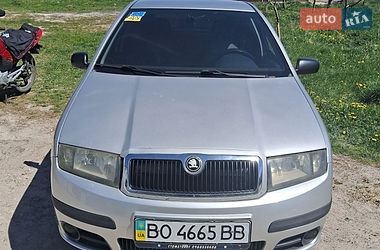 Хетчбек Skoda Fabia 2005 в Вишнівці