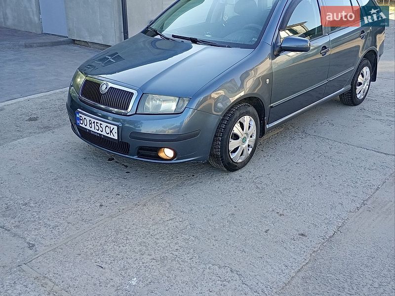 Универсал Skoda Fabia 2006 в Теофиполе