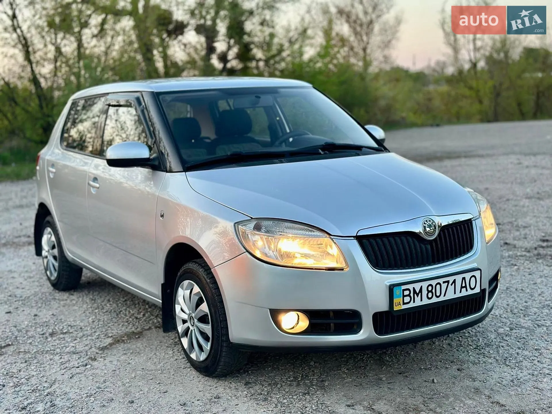2010 Skoda Fabia - фото 1