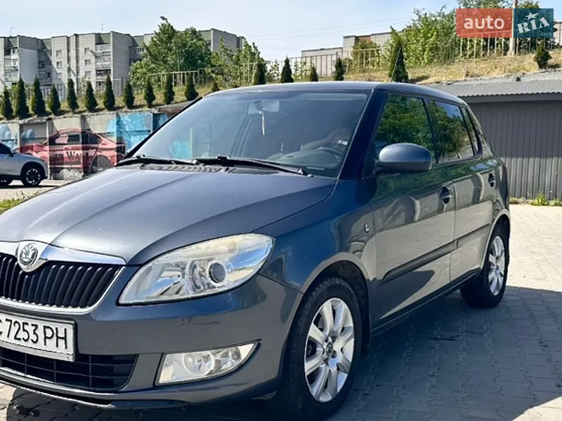 Skoda Fabia 2010 VIN TMBES25J9B3072698 фото оголошення 6 з 70
