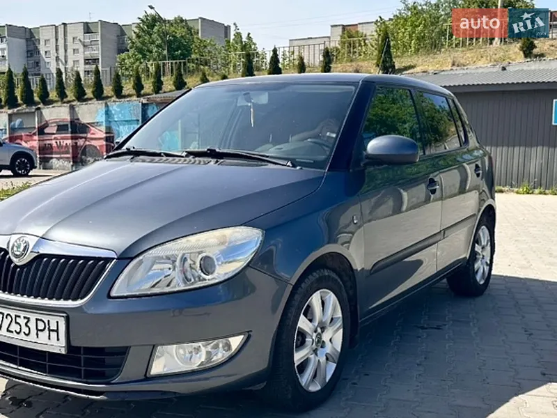 Skoda Fabia 2010 VIN TMBES25J9B3072698 фото оголошення 7 з 70