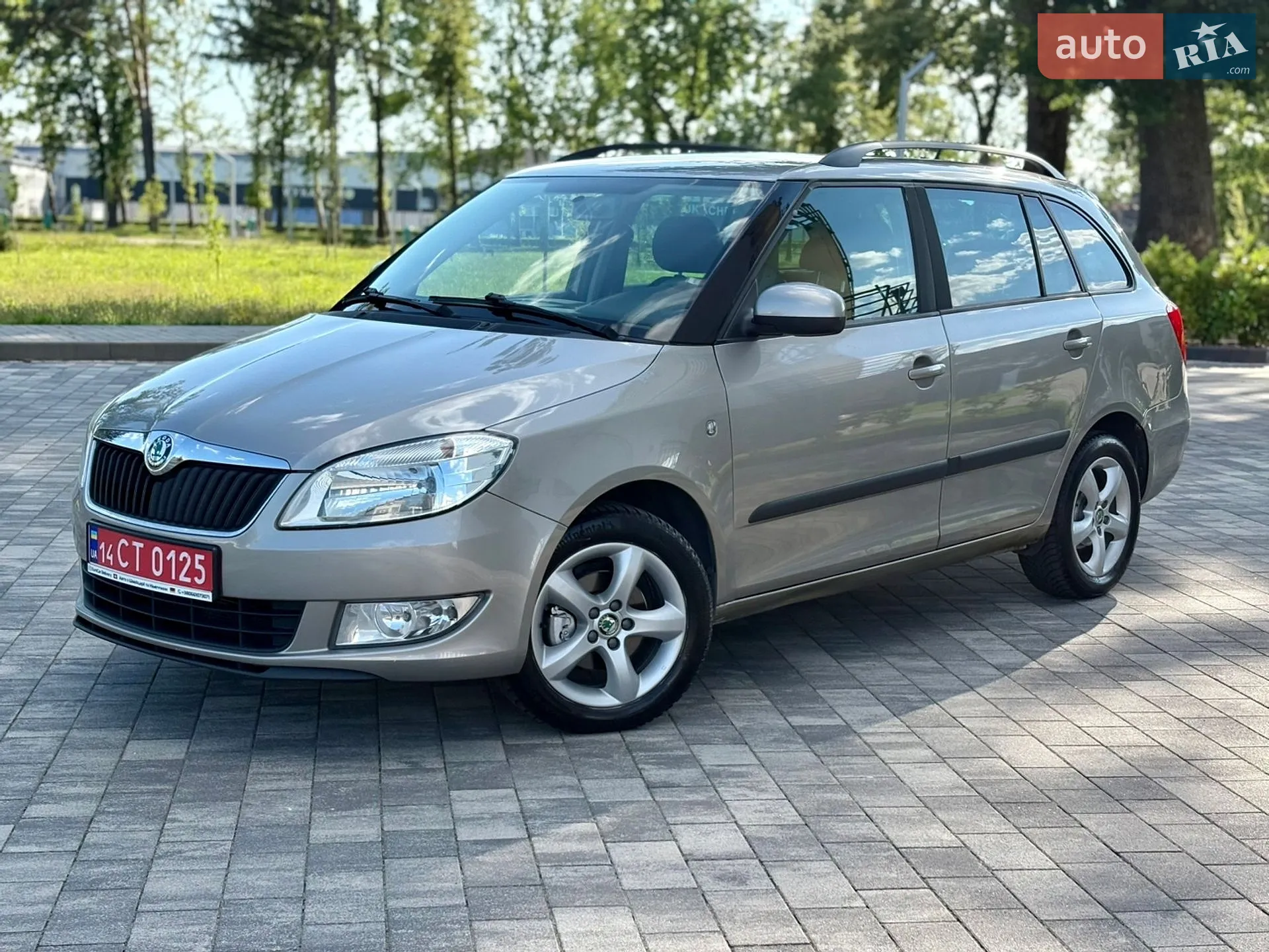 2013 Skoda Fabia - фото 1