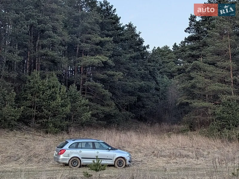 Skoda Fabia 2011 VIN TMBJM25J1C3028818 фото оголошення 9 з 41