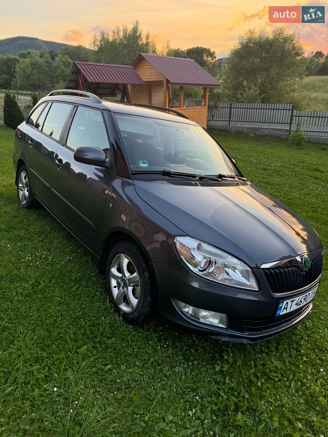 2010 Skoda Fabia - фото 1