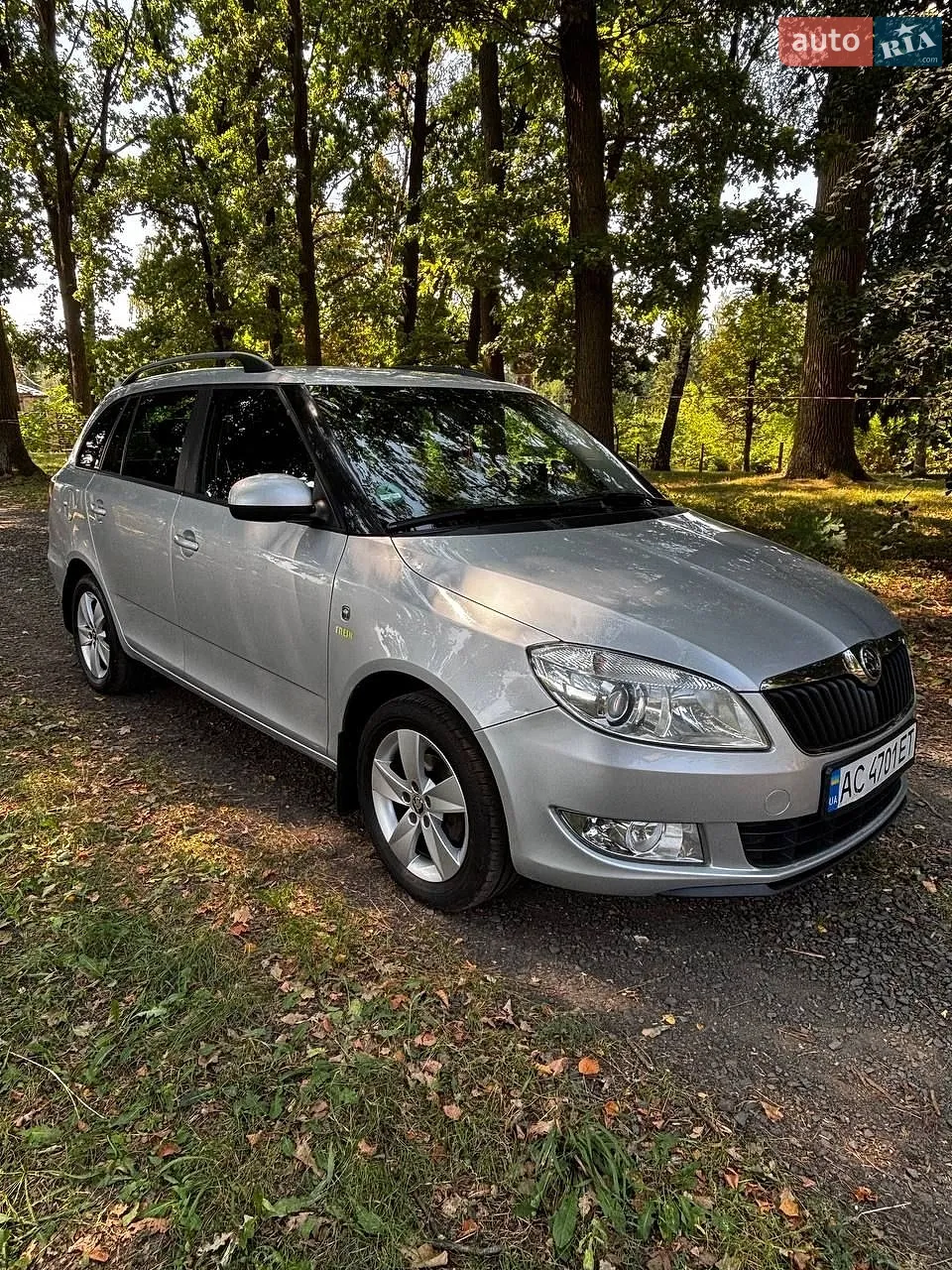 Skoda Fabia 2003 VIN TMBJS26Y833803083 фото оголошення 5 з 23
