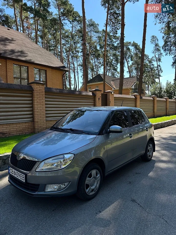 2011 Skoda Fabia - мініатюра 20
