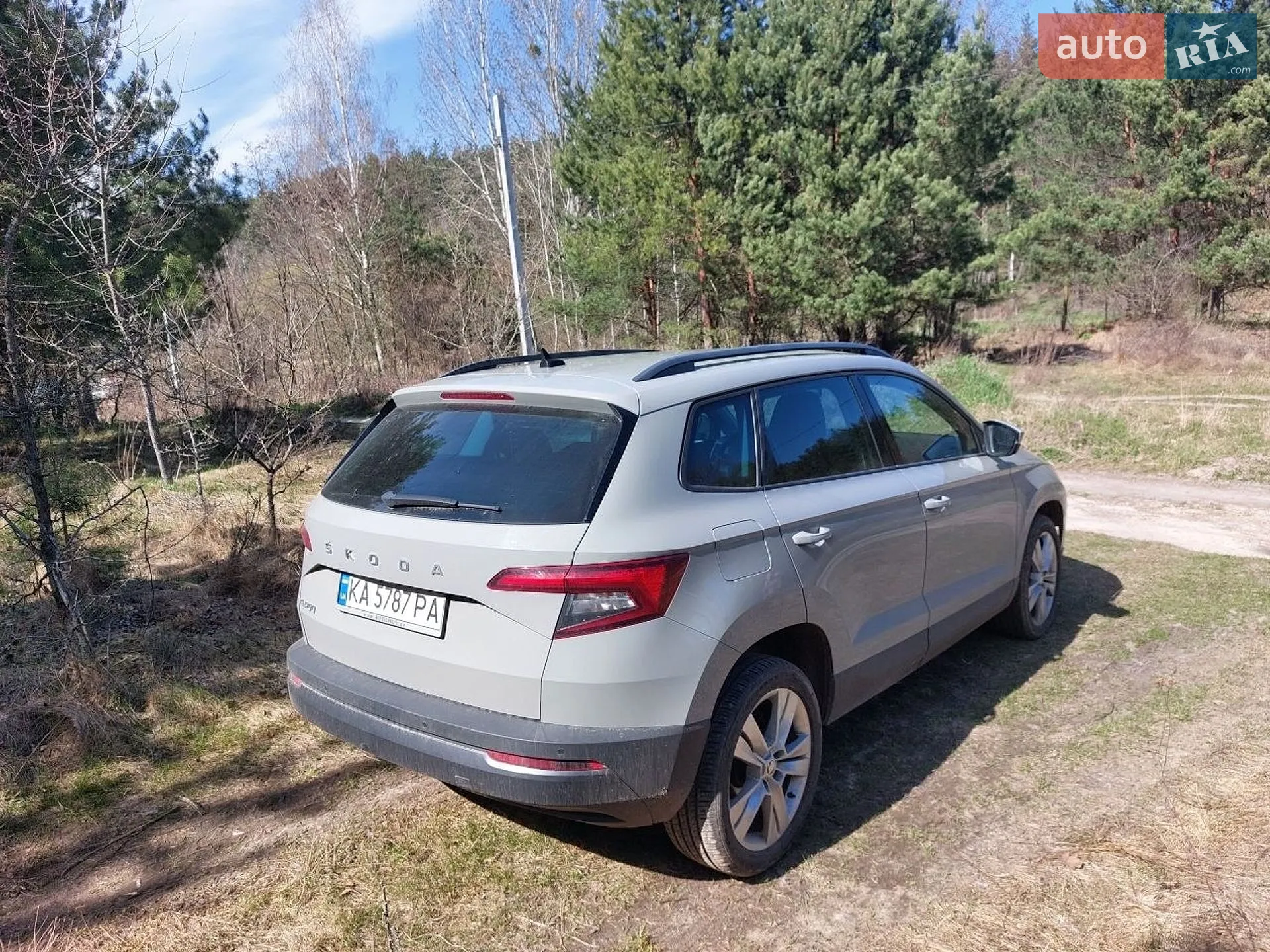 2019 Skoda Karoq - мініатюра 4