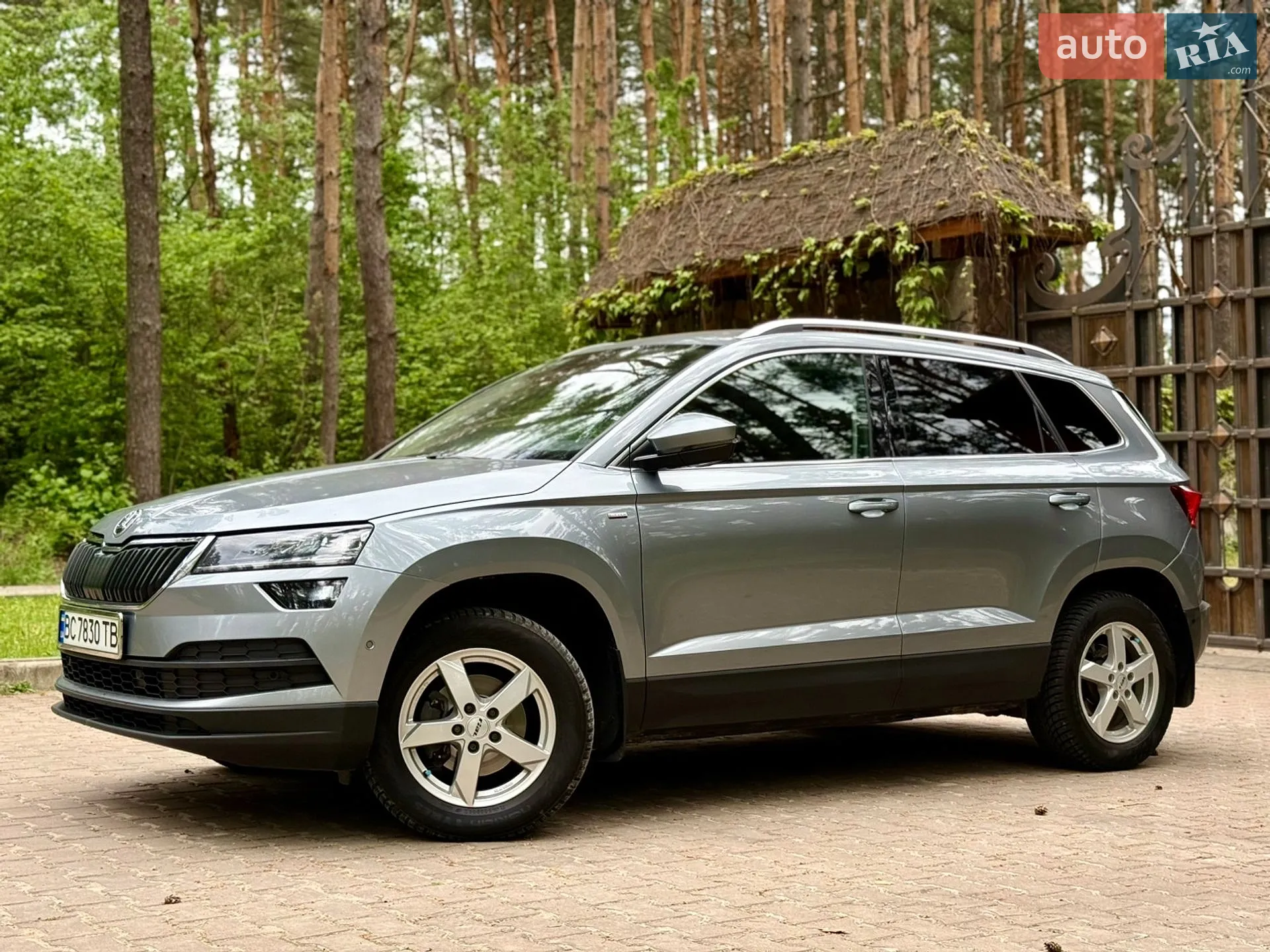 2021 Skoda Karoq - мініатюра 6