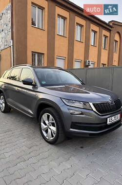 Внедорожник / Кроссовер Skoda Kodiaq 2019 в Ужгороде