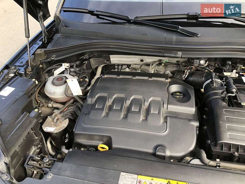 Внедорожник / Кроссовер Skoda Kodiaq 2020 в Звягеле