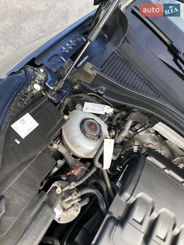 Внедорожник / Кроссовер Skoda Kodiaq 2020 в Звягеле