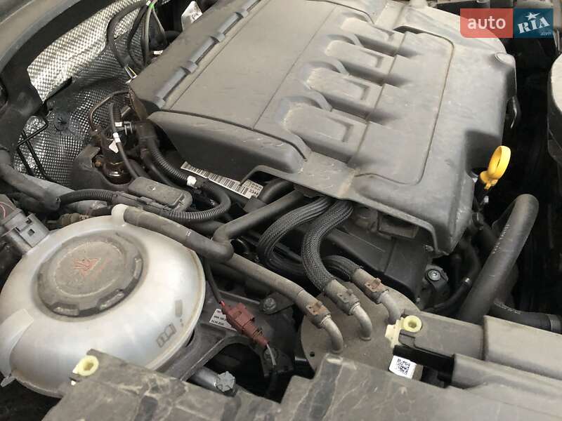 Внедорожник / Кроссовер Skoda Kodiaq 2020 в Костополе