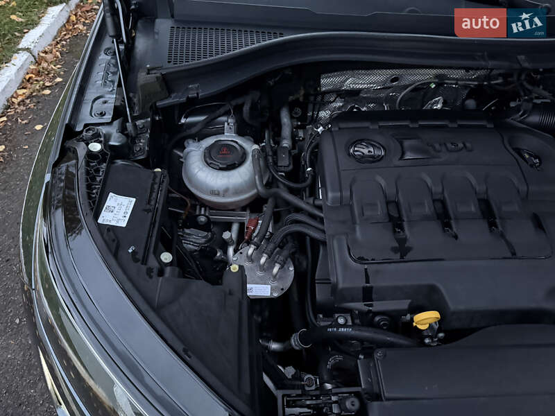 Внедорожник / Кроссовер Skoda Kodiaq 2019 в Луцке фото 30 Внедорожник / Кроссовер Skoda Kodiaq 2019 в Луцке