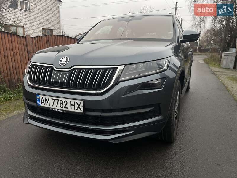 Внедорожник / Кроссовер Skoda Kodiaq 2020 в Звягеле