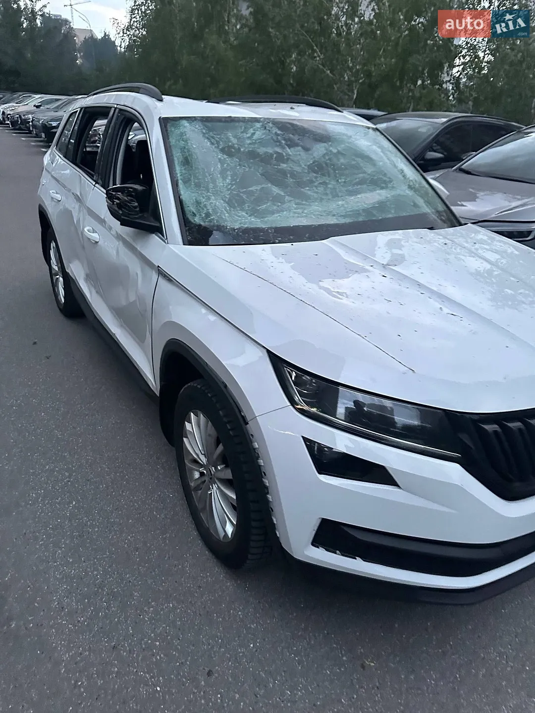 2019 Skoda Kodiaq - мініатюра 6