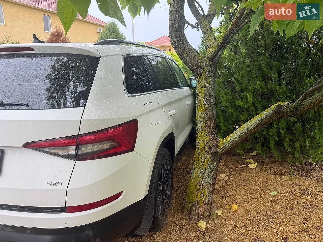 2020 Skoda Kodiaq - мініатюра 12